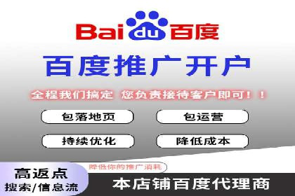 成功运用SEM技术提升网站流量的案例研究